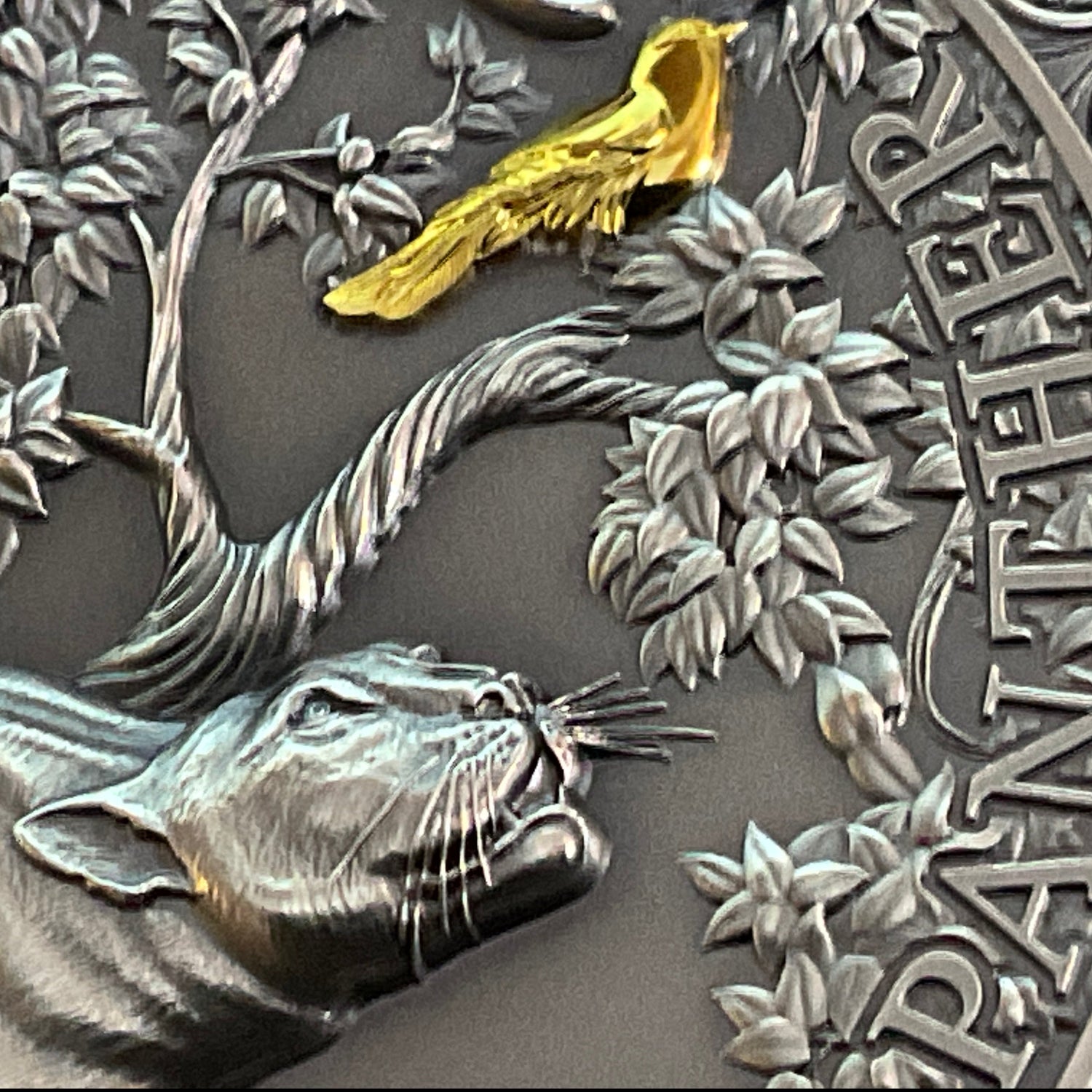 Ghana 2022 10 Cedis Panther Hunting in the Wild Selectively Gilded 2 oz .999 Antique Silver Coin Detail Copyright Atje Hjort