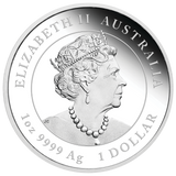 Australian Lunar Series III 2023 $1 Year of the Rabbit 1oz .999 Silver Proof Coloured Coin Perth Mint