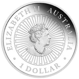 Australia 2023 $1 Opal Series Lunar Year of the Rabbit 1oz Silver Proof Coin Perth Mint