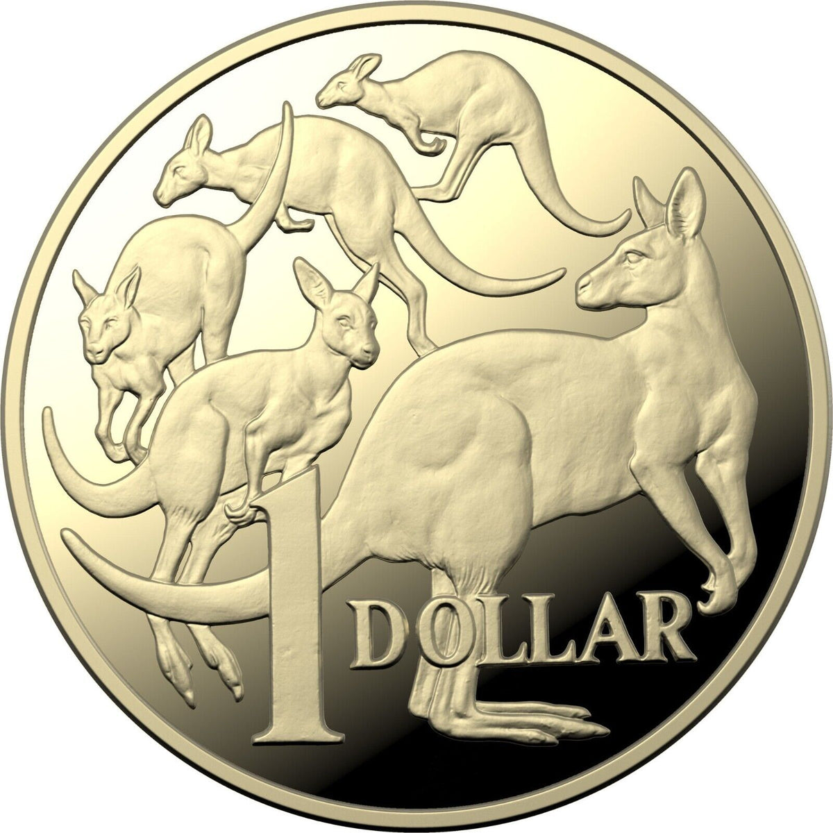 2022 Baby Proof Year Set 3 Unique Coins 10c 50c $2: Reverse $1 Coin