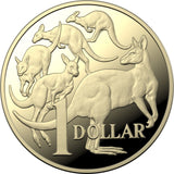 2022 Baby Proof Year Set 3 Unique Coins 10c 50c $2: Reverse $1 Coin