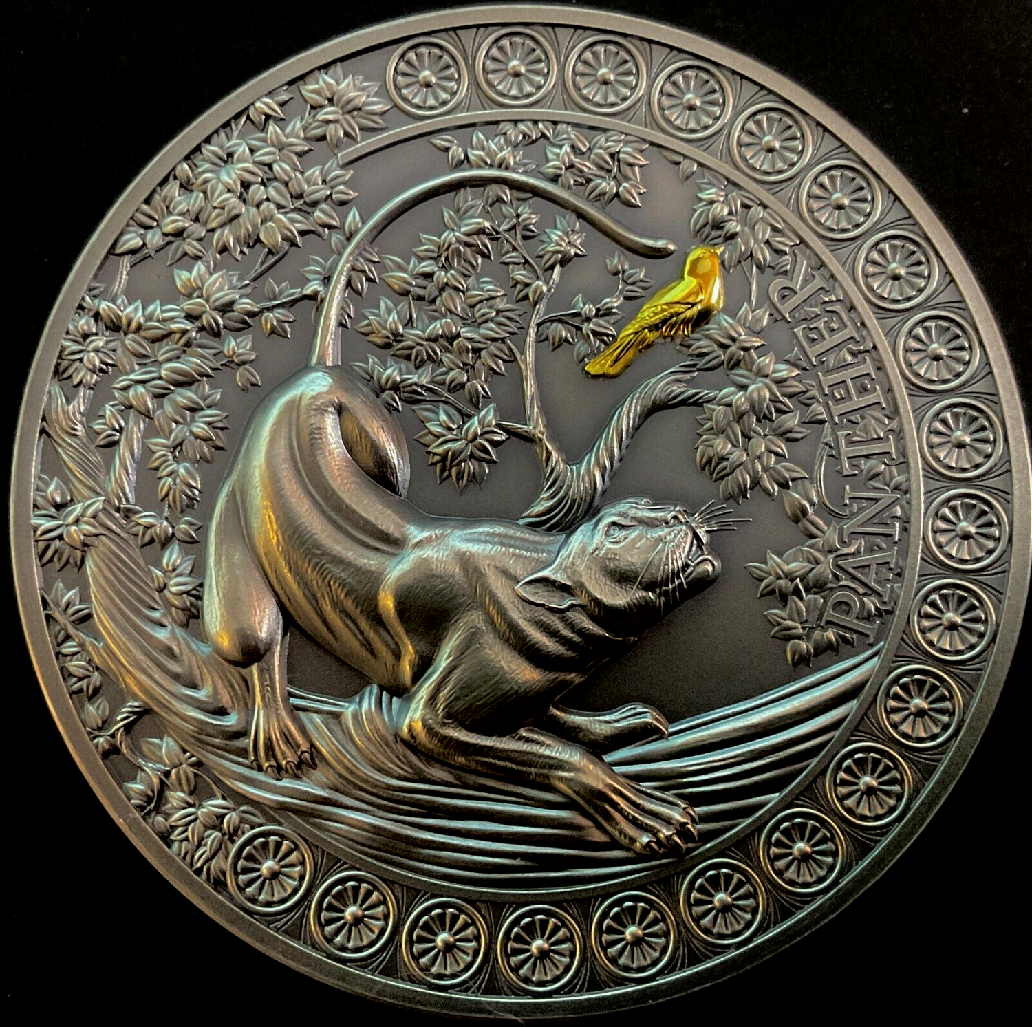 Ghana 2022 10 Cedis Panther Hunting in the Wild Selectively Gilded 2 oz .999 Antique Silver Coin
