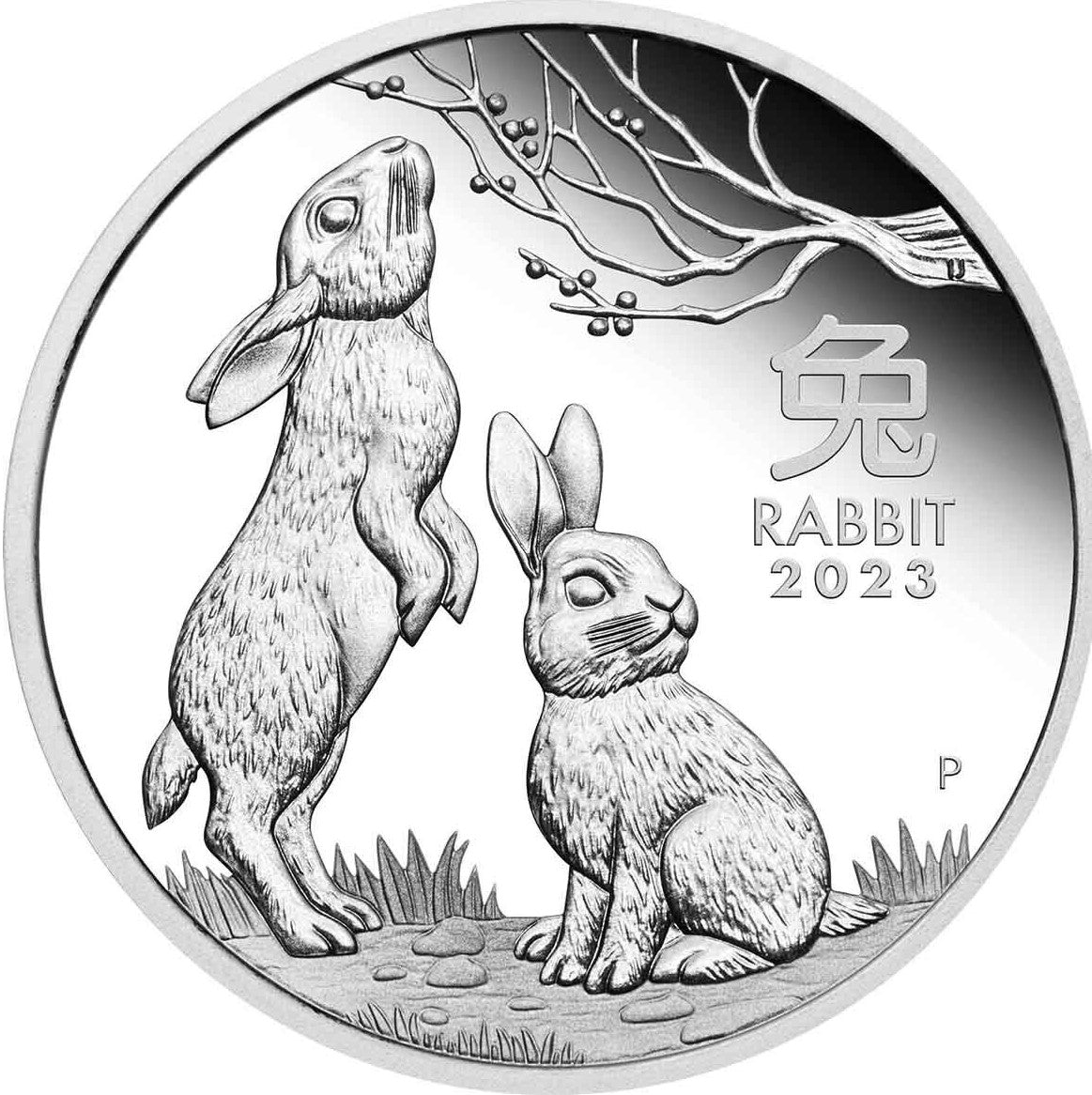 Australia 2023 $1 Year of the Rabbit 1oz 99.99% Silver Proof Coin - Lunar Series III - Perth Mint