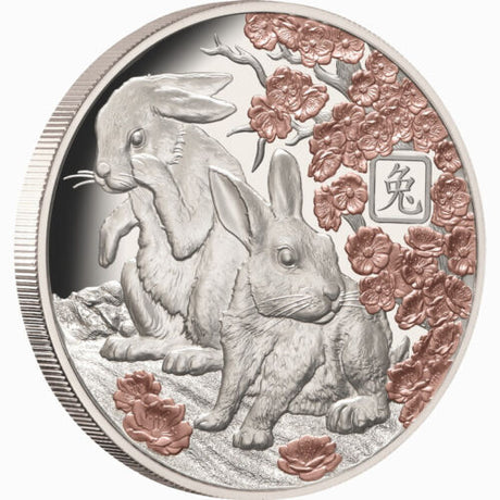 Solomon Islands 2023 $5 Lunar Rabbit Rose-Gold Plated 1oz Silver Proof Coin