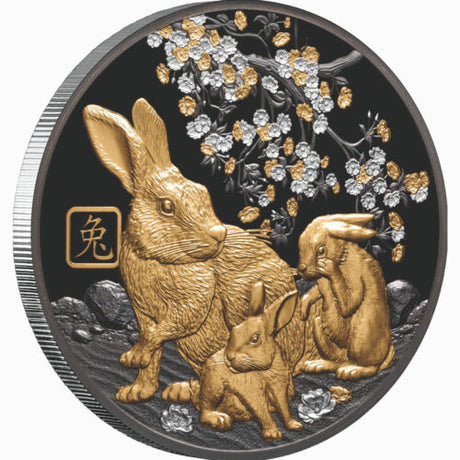 Solomon Islands 2023 $10 Lunar Rabbit 5oz Silver Black-Proof Coin