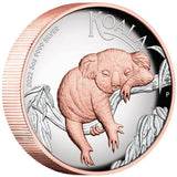 Australian Koala 2022 $8 5oz Silver Proof High Relief Gilded Coin