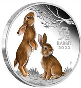 Australia 2023 $1 Year of the Rabbit 1 oz Silver Trio 3 x 1oz 99.99% Silver Gilded, Coloured and Proof Coins - Lunar Series III - Perth Mint