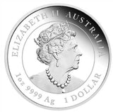 Australia 2023 $1 Year of the Rabbit 1 oz Silver Trio 3 x 1oz 99.99% Silver Gilded, Coloured and Proof Coins - Lunar Series III - Perth Mint